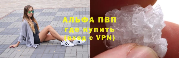 трава Аркадак